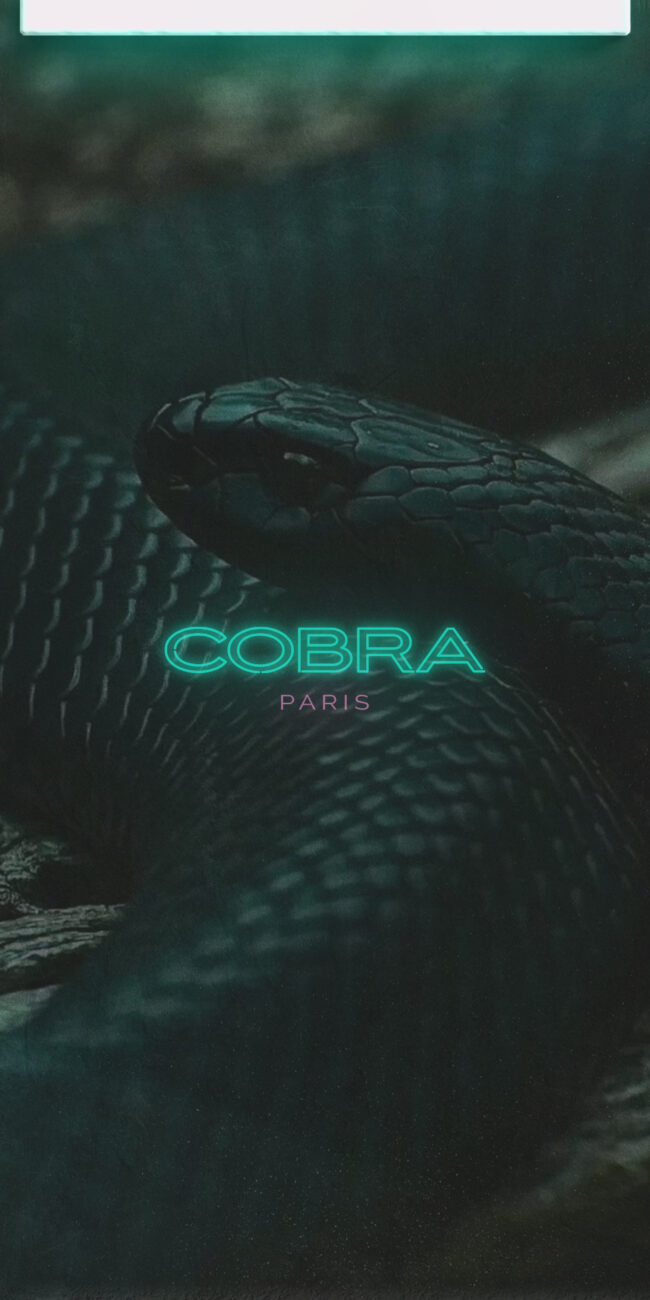 cobra paris houseofbrands graphiste webdesigner
