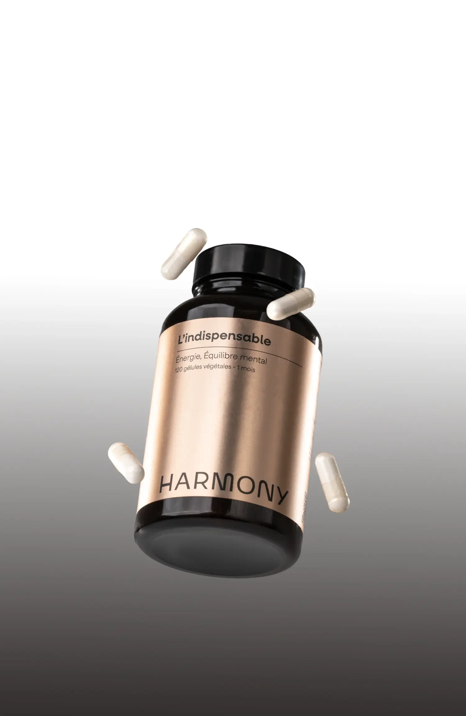 4.3 l indispensable pot 2500 webp