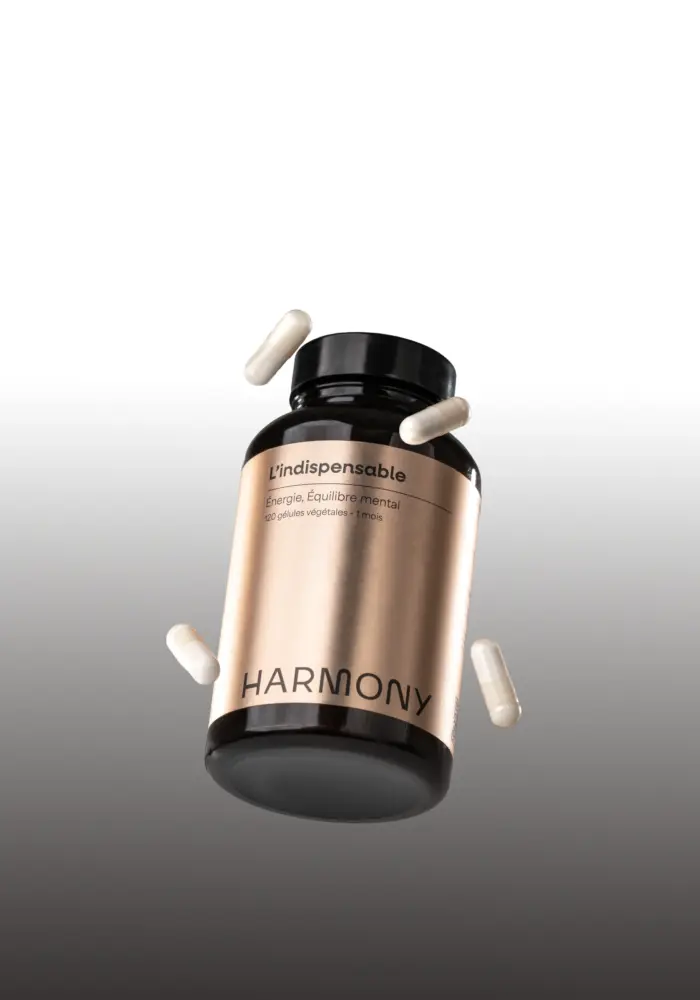 4.3 l indispensable pot 2500 webp