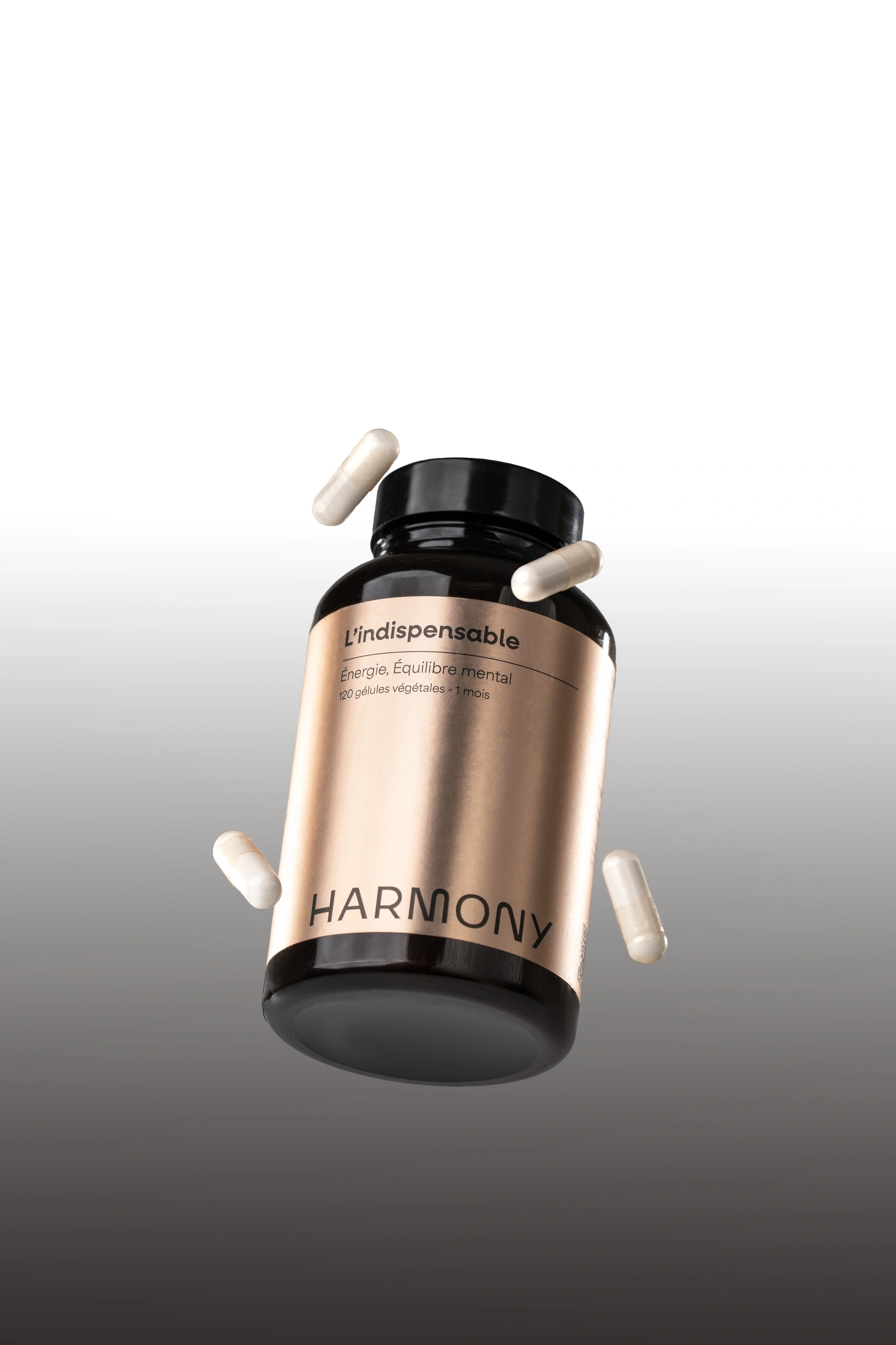 4.3 l indispensable pot 2500 webp