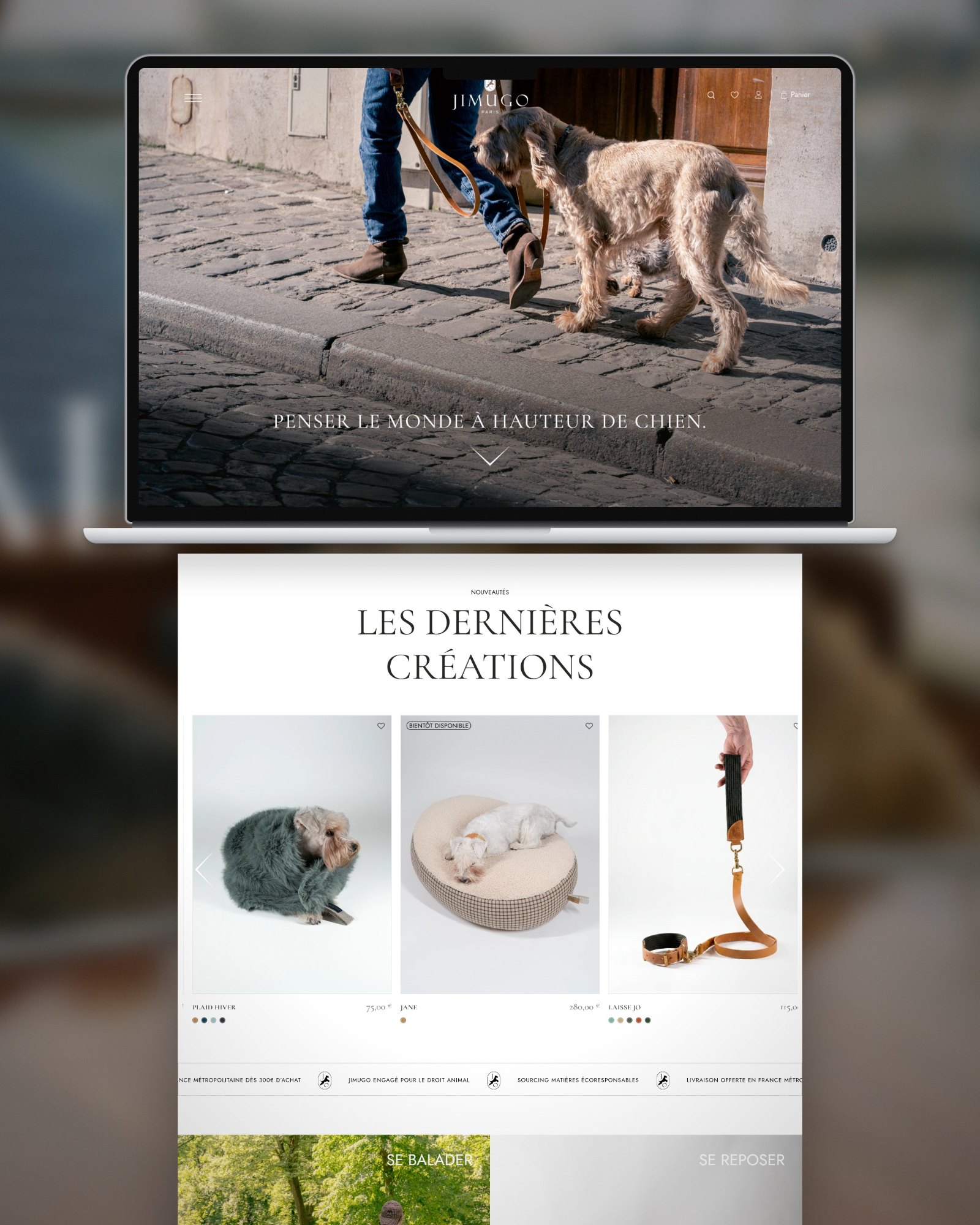 Jimugo — site conçu par House of Brands